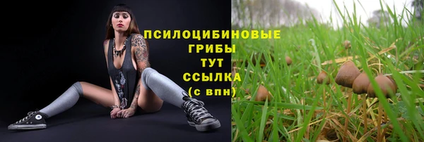 каннабис Абинск