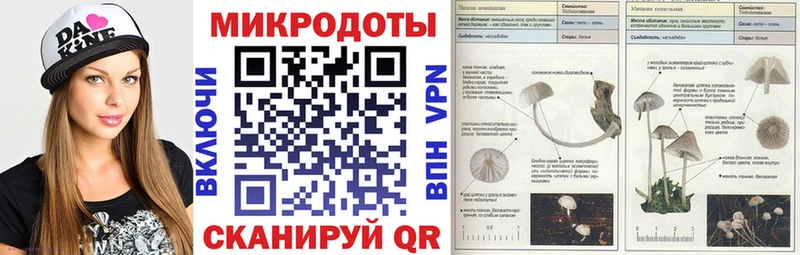 Галлюциногенные грибы Psilocybe  Батайск 
